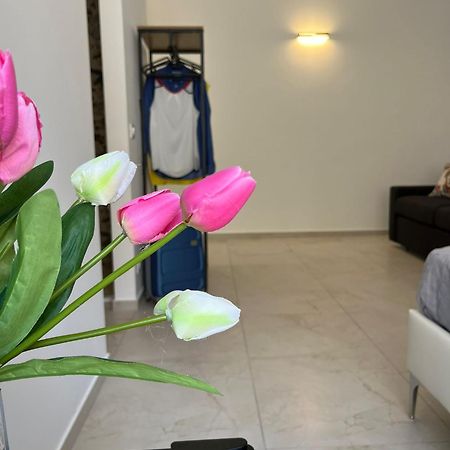 Sicilian Paradise Casa Vacanze Castellammare del Golfo Phòng bức ảnh